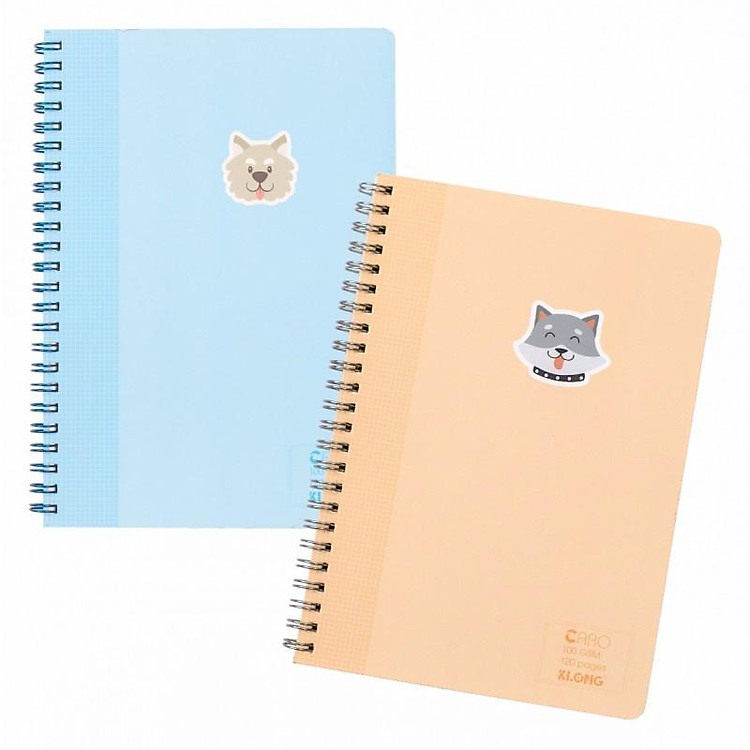 Sổ Lò Xo Kép Caro A5 (120 trang)