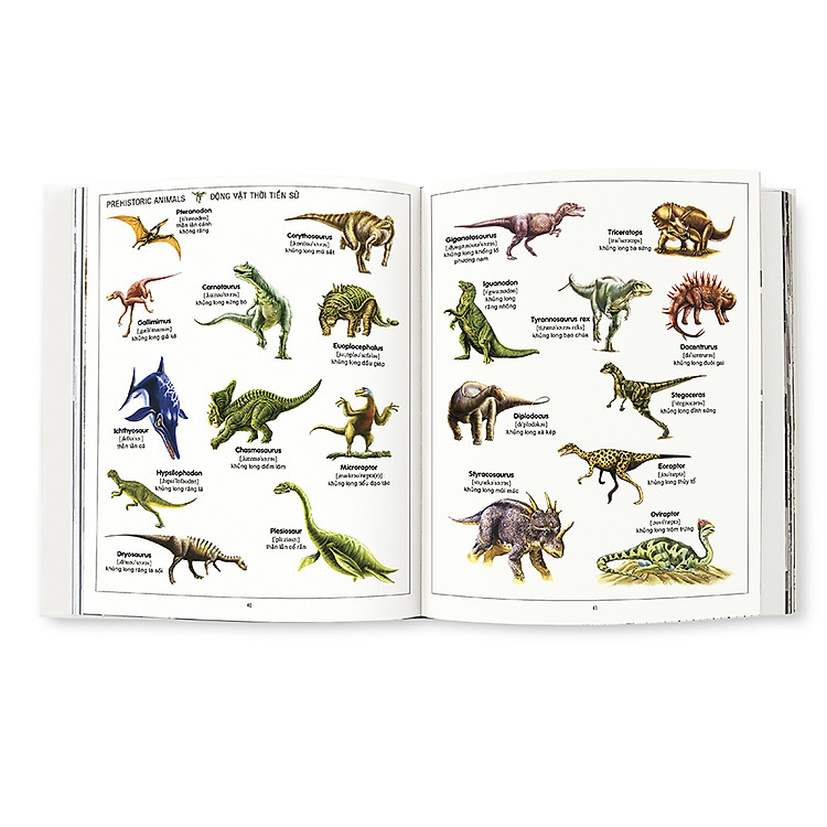 1000 Từ Tiếng Anh Đầu Tiên - My First 1000 Words - Tái Bản - Ảnh 4