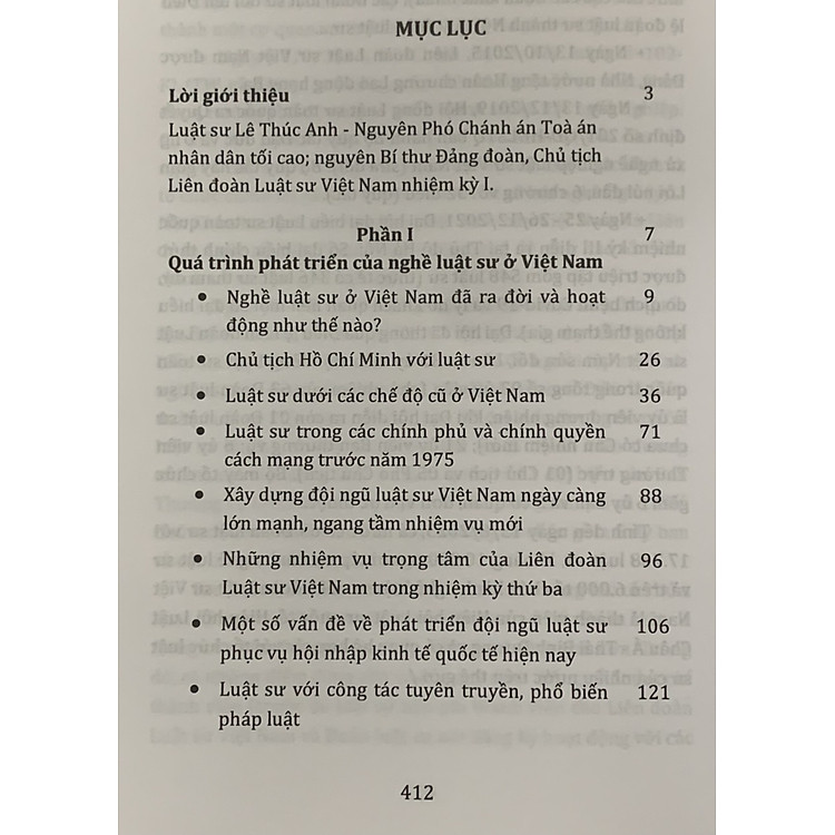 Luật Sư và Nghề Luật Sư Ở Việt Nam - Ảnh 7