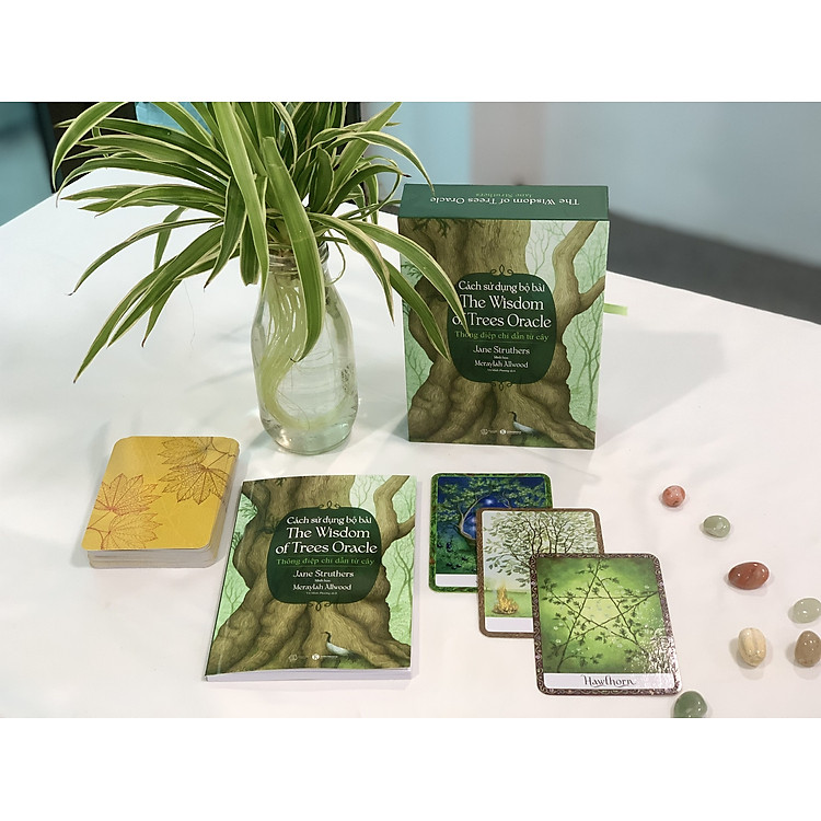 Cách sử dụng Bộ bài Wisdom of Trees Oracle - Ảnh 4