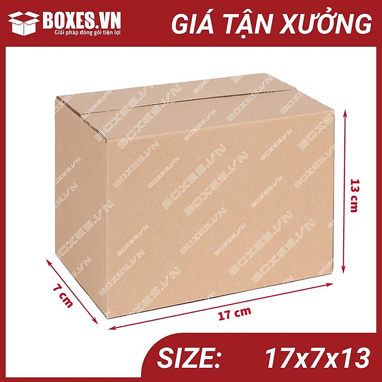 Hộp Carton Đóng Gói (100 chiếc)