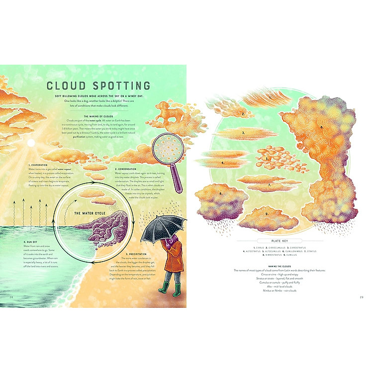 Bang The Wild Wonders Of Earth’S Phenomena - Ảnh 4