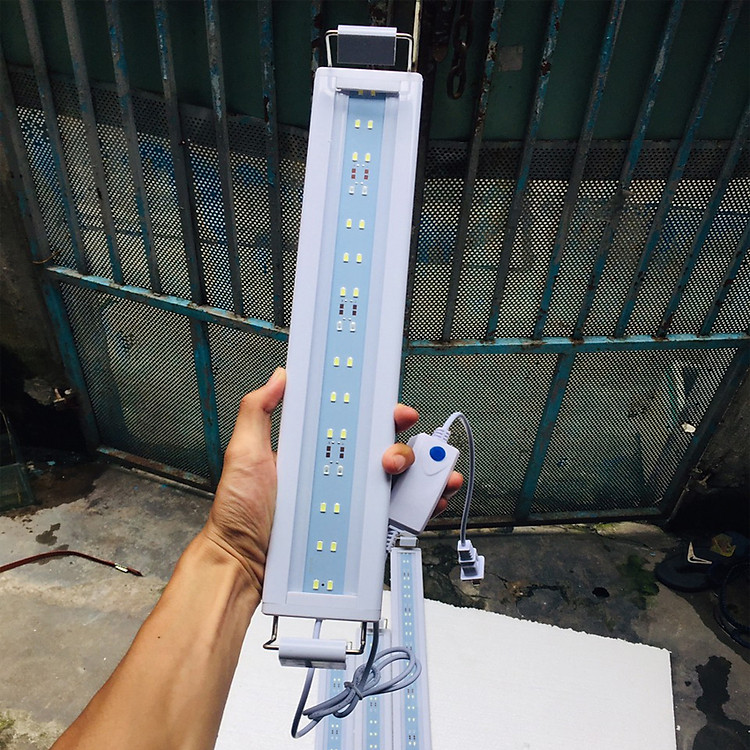 Đèn led hồ cá , hồ thủy sinh