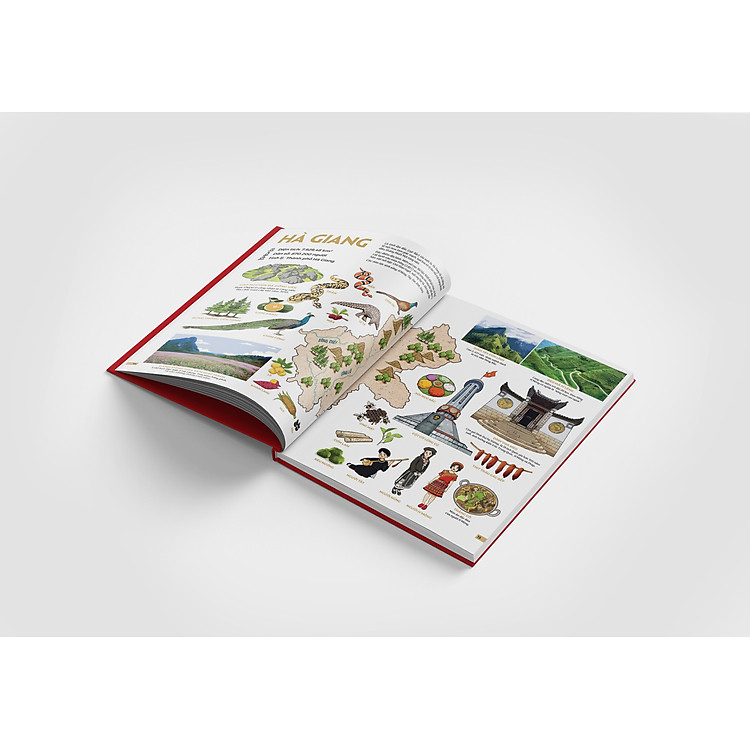 Đất Nước Gấm Hoa - Atlas Việt Nam (Tái Bản 2025) - Ảnh 7