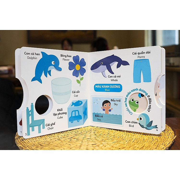 Xoay Xoay Xoay - Đi Tìm... Màu Sắc - Ảnh 7