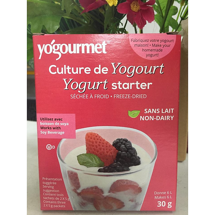 Men làm sữa chua vegan