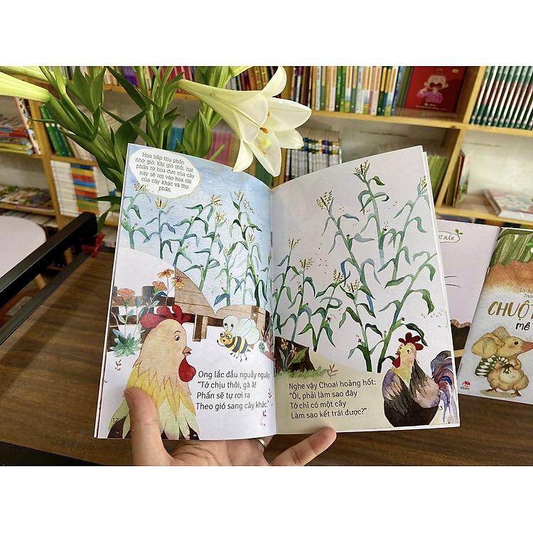 Từ những hạt mầm - Ảnh 3