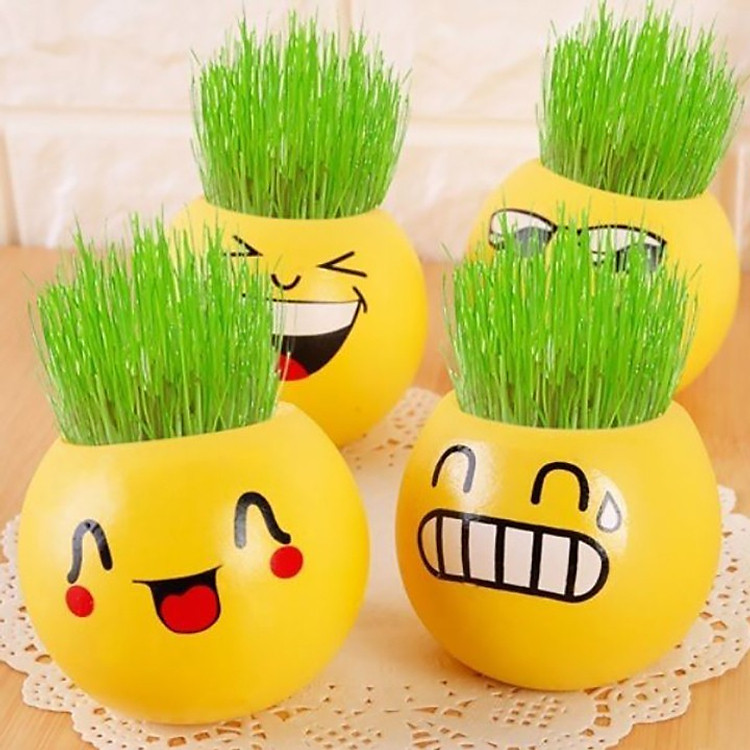 Chậu cỏ (tưới nước là lên cỏ) icon mặt cười trang trí bàn kệ tủ - Hình ngẫu nhiên