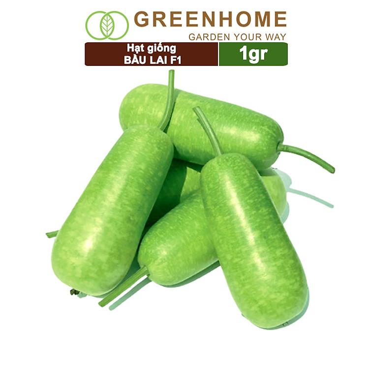 Hạt Giống Bầu Lai Greenhome, Gói 1gr~10 hạt, Dễ Trồng Quanh Năm, Nảy Mầm Cao, Thu Hoạch Nhanh, Năng Suất Cao T09