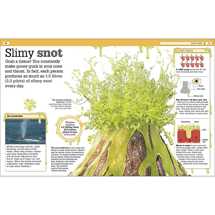 The Science Of Goo! - Ảnh 4