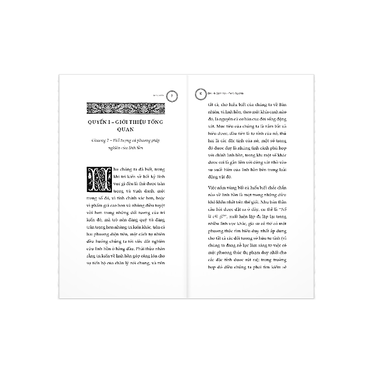 Bàn về linh hồn (Peri Psychēs) – Aristotle - Ảnh 6