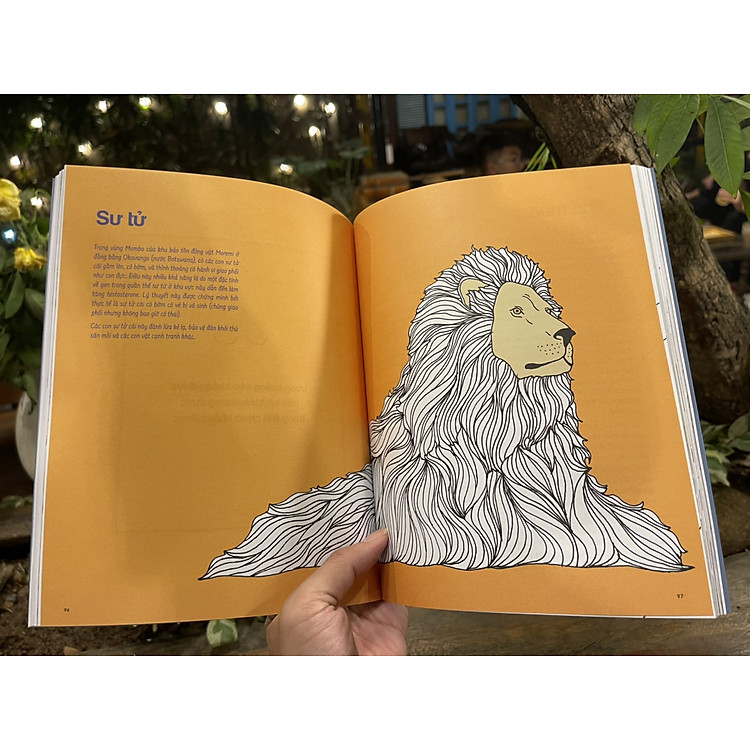 THẤY GIỚI – SEEING GENDER - Ảnh 5