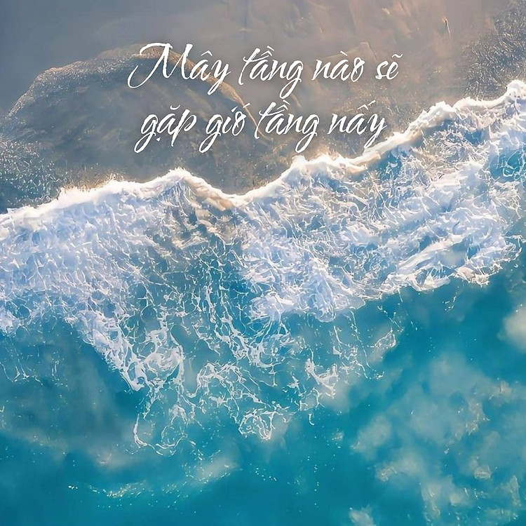 Quản Lý Cảm Xúc, Hạnh Phúc Một Đời - Ảnh 7