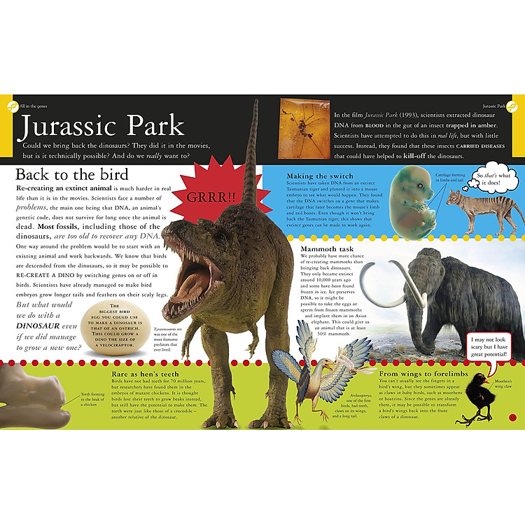 All About Evolution (Big Questions) - Ảnh 6