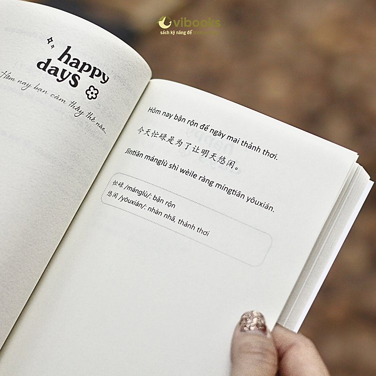 Hôm Nay Là Ngày Đẹp Trời Để Chia Tay Nỗi Buồn (Sách/Sổ Tay Song Ngữ Việt – Trung) - Ảnh 5