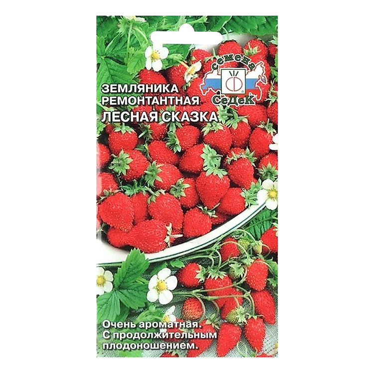 Hạt Giống Dâu Tây Đỏ Sedek (0.04g)