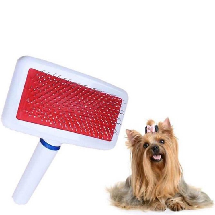 Lược kim chải lông cho thú cưng - lược xù cán trắng