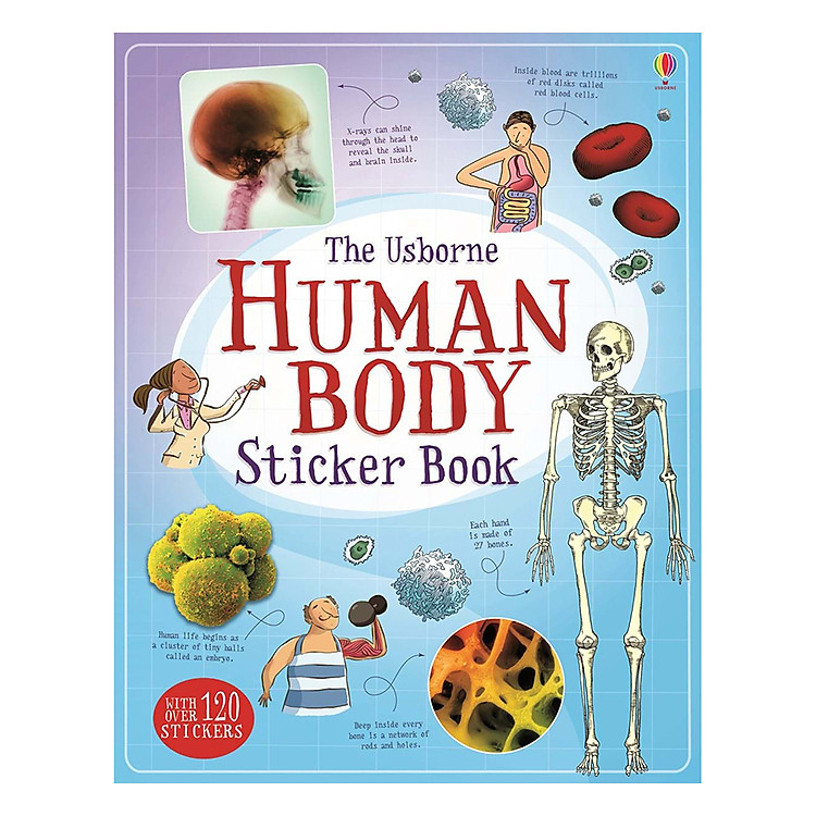 Sách Usborne Human Body Sticker Book