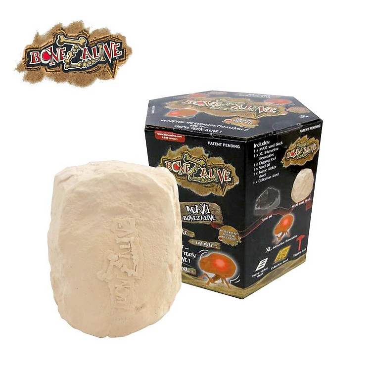 Mua BONEZALIVE Bộ Khảo Cổ Khai Quật Chính hãng Ưu đãi - Hình ảnh 4