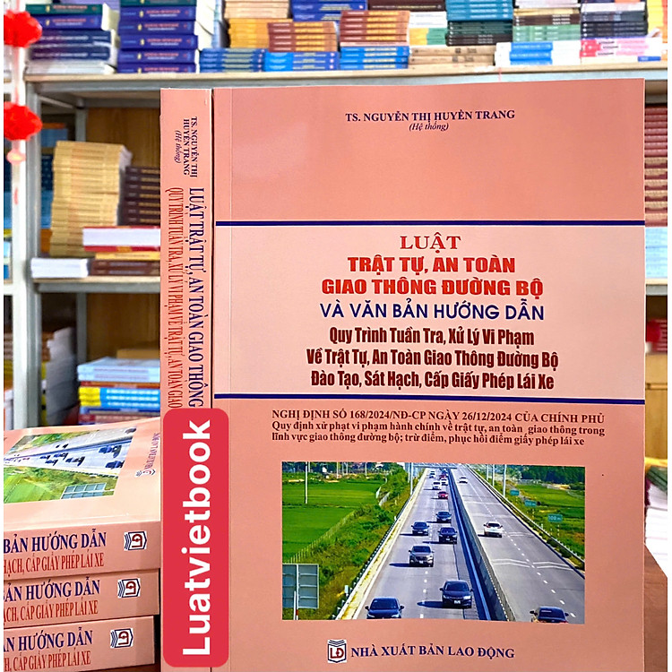 Luật Trật Tự, An Toàn Giao Thông Đường Bộ - Ảnh 2
