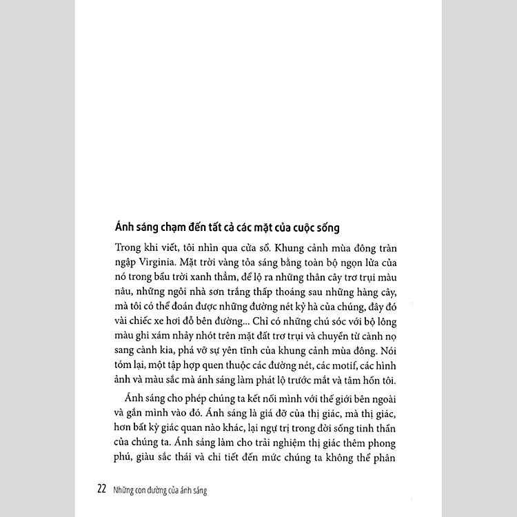 Những Con Đường Của Ánh Sáng (Tập 1) - Ảnh 2