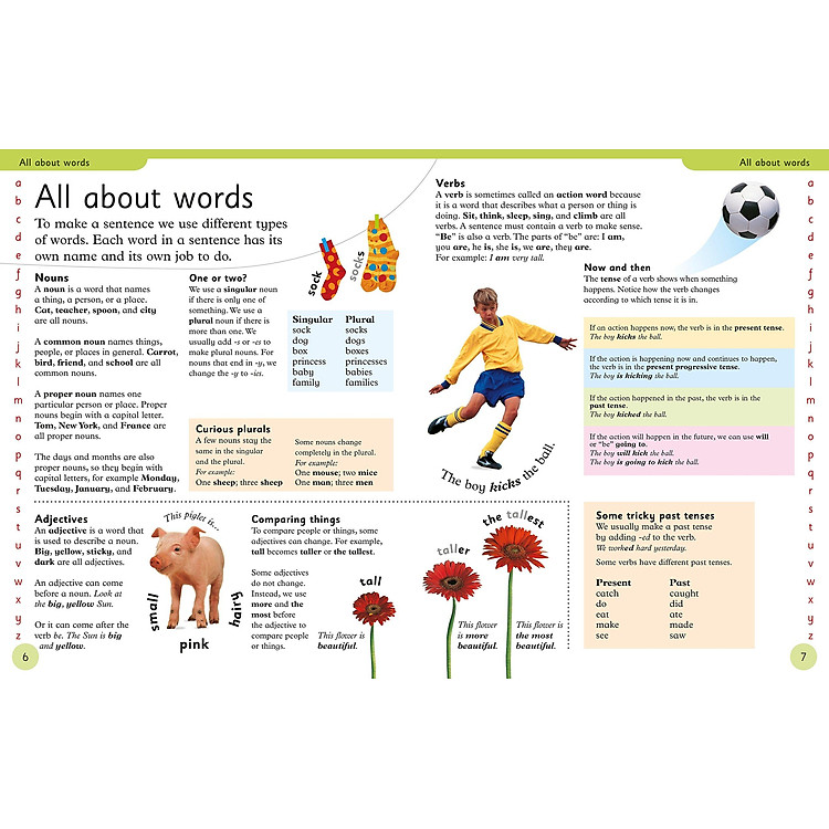 First Children's Dictionary: A First Reference Book For Children - Ảnh 3