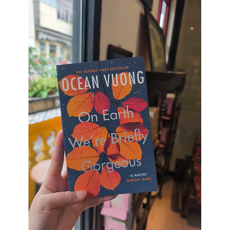 On Earth We’re Briefly Gorgeous - Ảnh 2