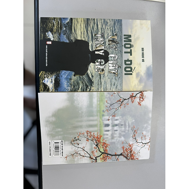 MỘT ĐỜI TÂY GIẤY THẤY GÌ - Ảnh 3