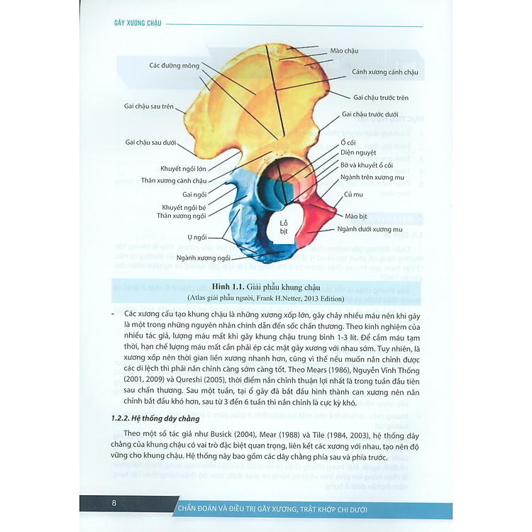 Chẩn Đoán Và Điều Trị Gãy Xương, Trật Khớp Chi Dưới - Ảnh 4