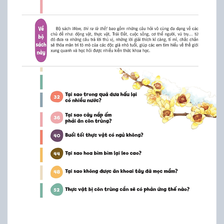 Wow, Thì Ra Là Thế! - Bí Mật Nhỏ Của Thực Vật - Ảnh 4