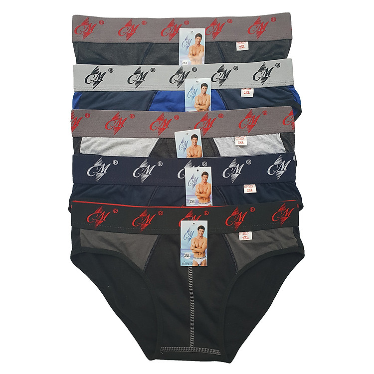 Combo 5 Quần Lót Nam vải cotton 2 chiều co giãn lưng CM hiệu CITYMEN, màu ngẫu nhiên, sịp nam - LMTK-CM2C