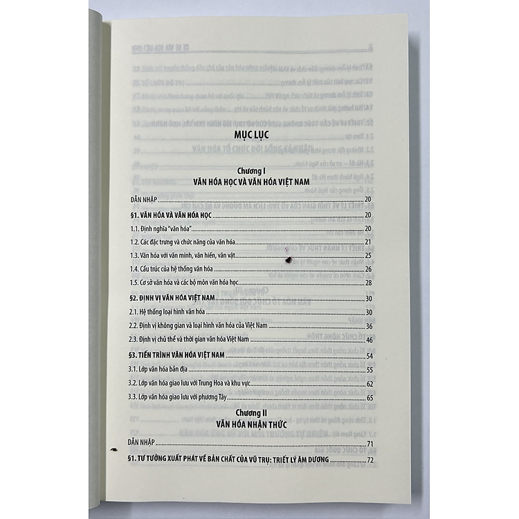 Cơ Sở Văn Hóa Việt Nam - Ảnh 3