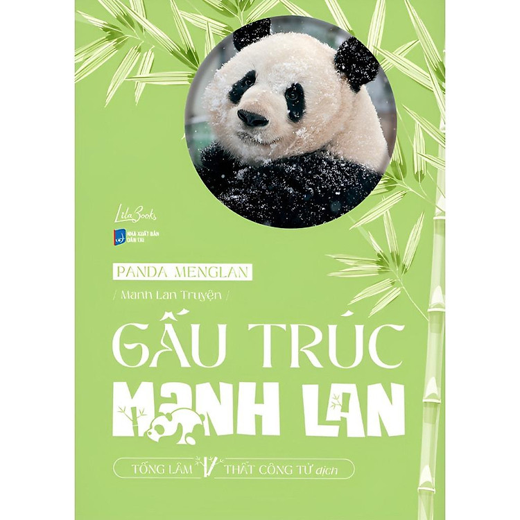 Gấu trúc Manh Lan - Ảnh 2