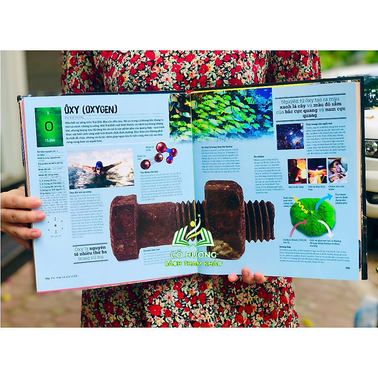 Bảng Tuần Hoàn Hóa Học Tổng Hợp Kiến Thức Hóa Học Lớp 8 Đến Lớp 12 - Ảnh 2