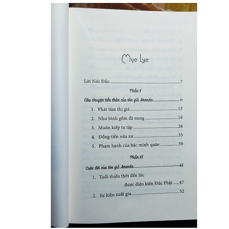 Tôn Giả Anada - Đệ Tử Đệ Nhất Đa Văn Của Đức Phật - Ảnh 5