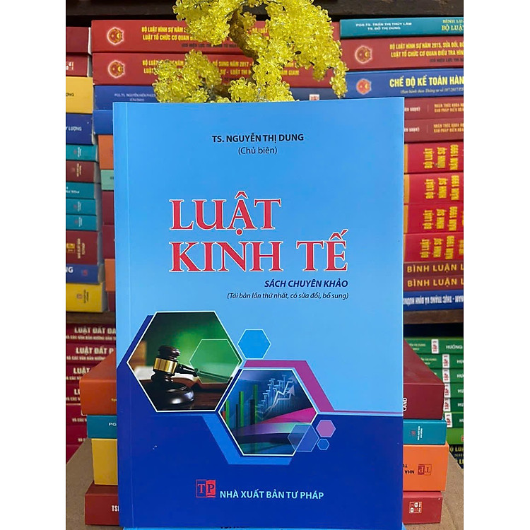 LUẬT KINH TẾ (Tái bản lần thứ nhất, có sửa đổi, bổ sung)