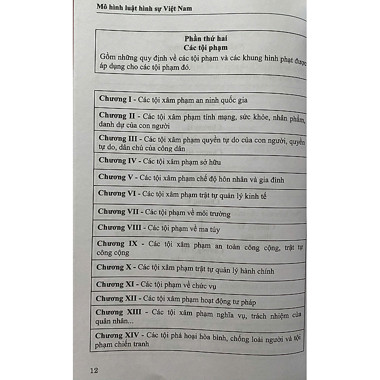 Mô Hình Luật Hình Sự Việt Nam - Ảnh 6