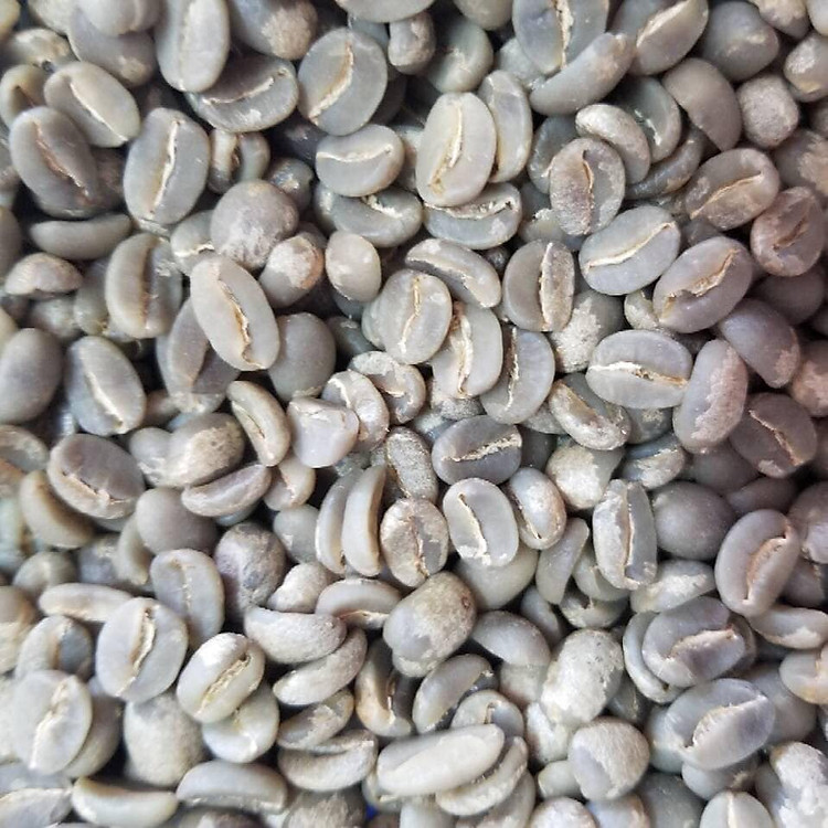 Cà phê nhân Arabica Cầu Đất O'PETIT 1KG