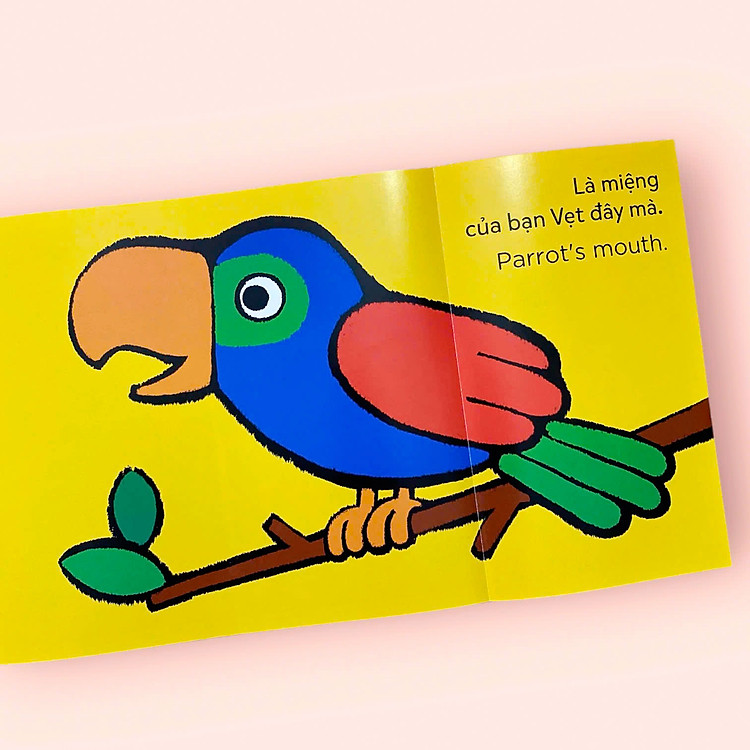 Miệng Của Ai Thế Nhỉ? - Whose mouth? - Bộ Sách Lật Mở Khám Phá Song Ngữ - Ảnh 6