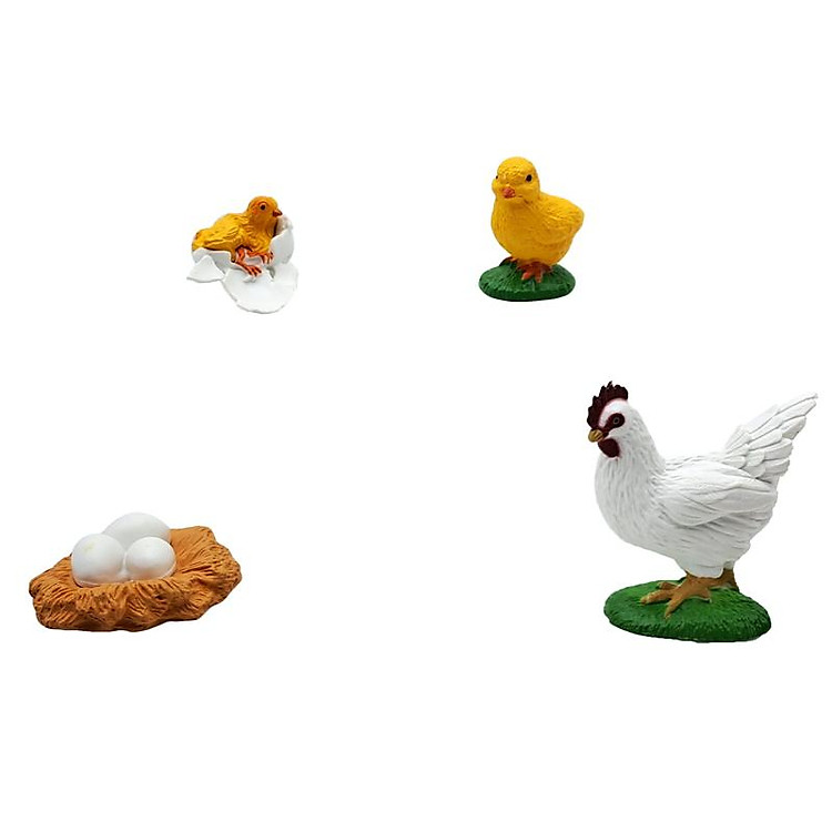 Mua Đồ Chơi Mô Hình Vòng Đời Gà Trống Chính hãng Giá rẻ - Hình ảnh 3