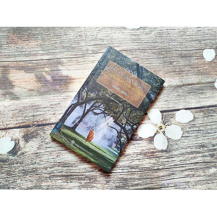 Bát Chánh Đạo - Con Đường Dẫn Đến Sự Chấm Dứt Khổ Đau - Ảnh 2