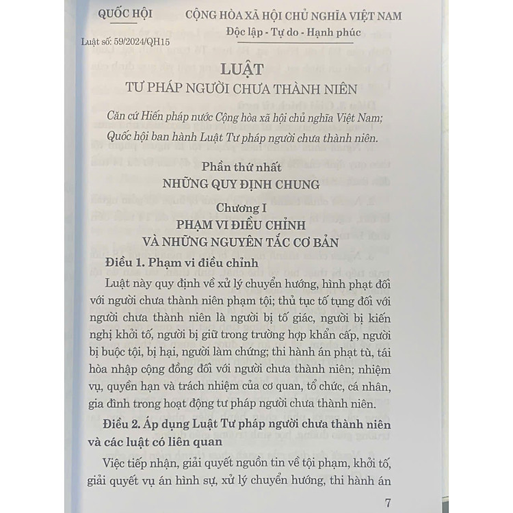 Luật Tư pháp Người Chưa Thành Niên Năm 2024 - Ảnh 3