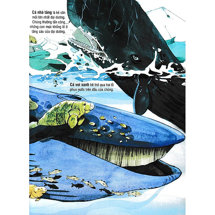 Tương Tác - Big Book - Cuốn Sách Khổng Lồ Về Các Loài Động Vật Biển (Tái Bản 2018) - Ảnh 6
