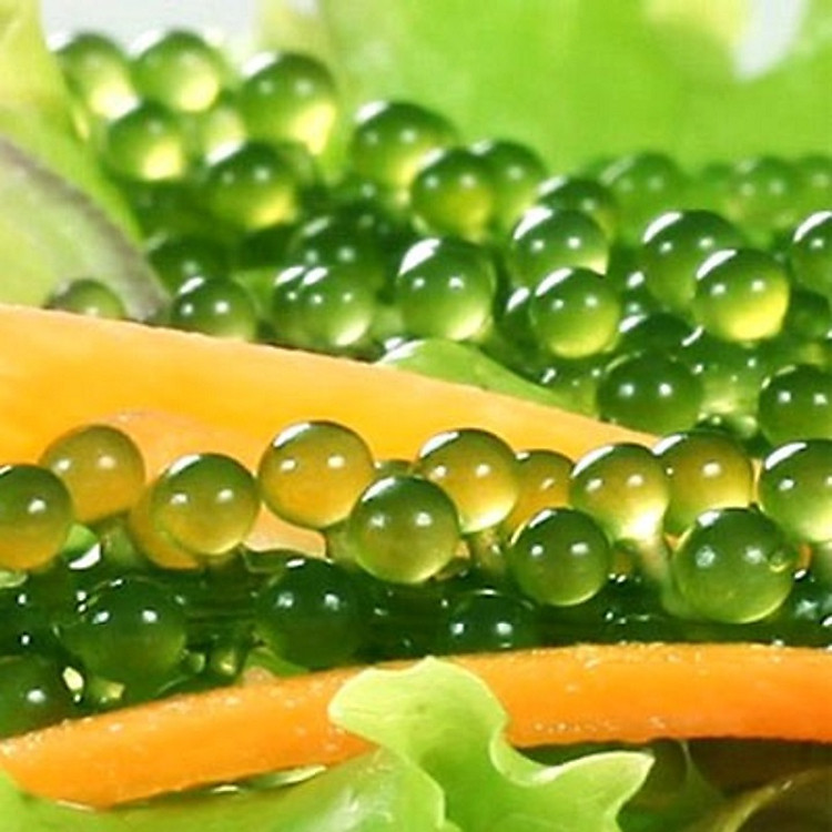 Rong Nho tách nước - Hộp 40 gram