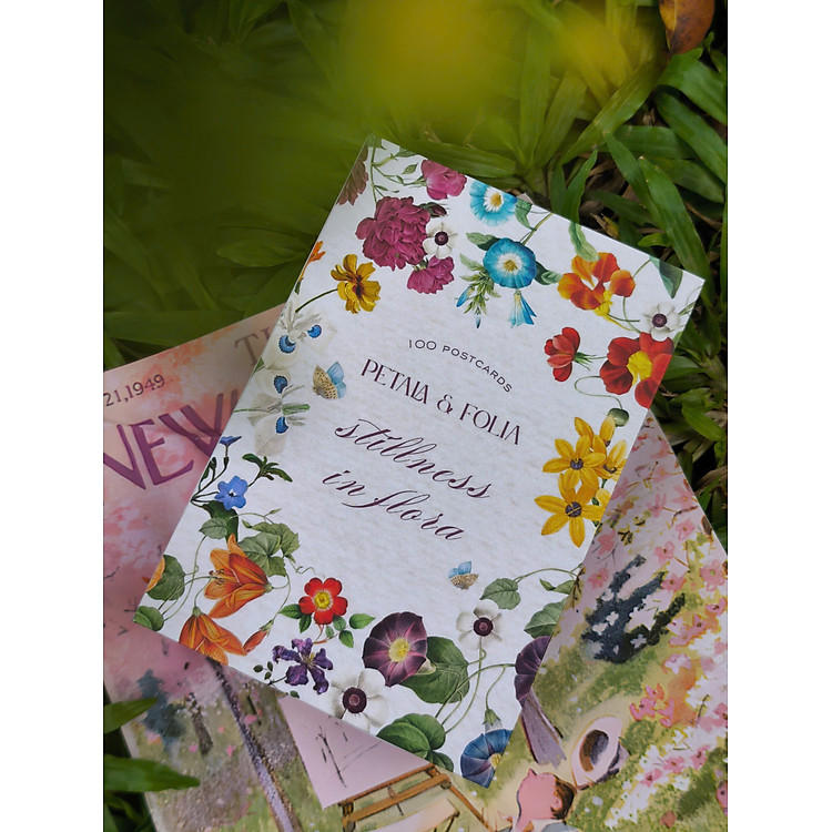 Bộ Postcard Petala & Folia – Giấy Mỹ Thuật 300g (100 chiếc)