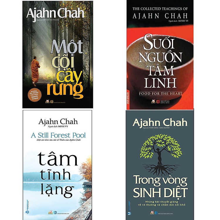 Một Cội Cây Rừng - Ảnh 3