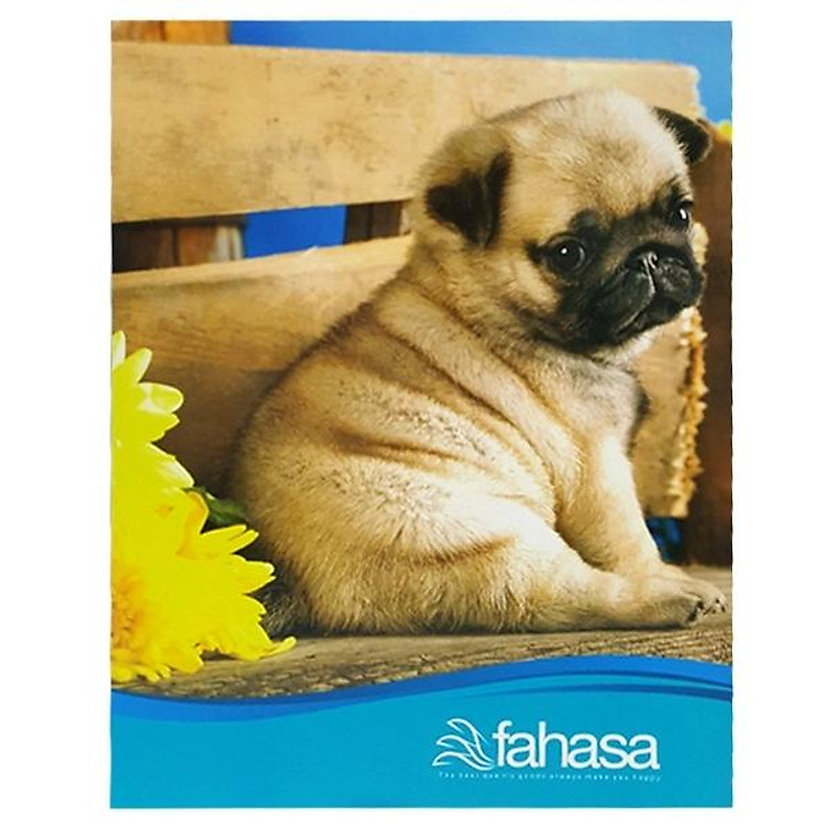 Tập 4 Ly Ngang 200 Trang ĐL 60g/m2 (5 tập) - Ảnh 6