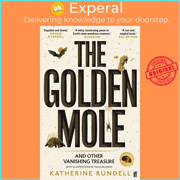 Sách - The Golden Mole - and Other Vanishing Treasure by Talya Baldwin (UK edition, paperback)