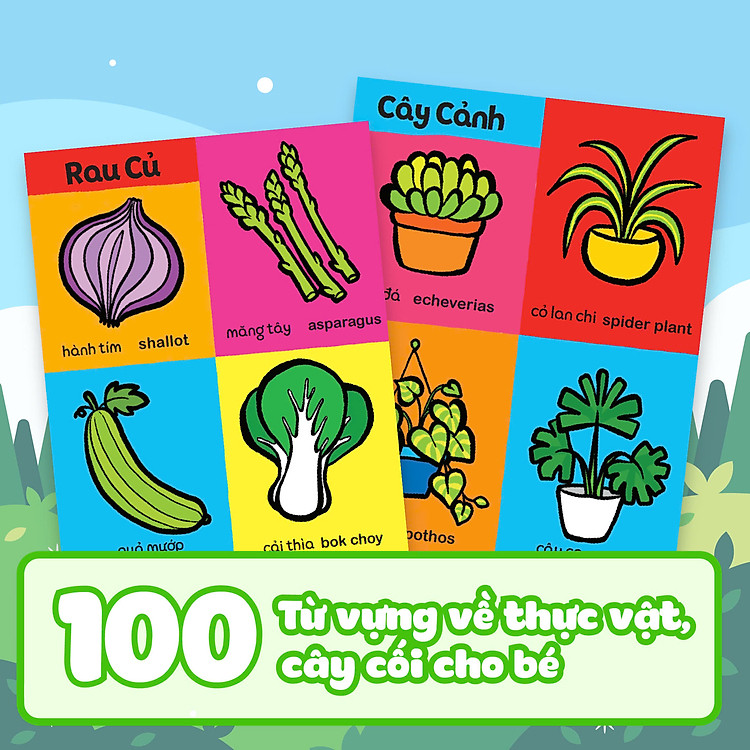 My First 100 Plants - Ảnh 4