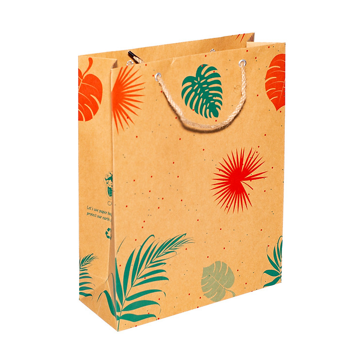 Túi Kraft KN210 (32x25x9.5 cm) - Ảnh 5